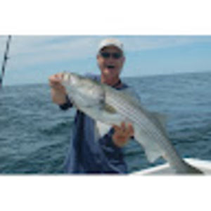 Meet your Posher, Brad